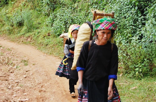 Di dân tự do còn nhiều phức tạp 