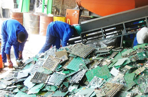 Hợp tác là chìa khóa bảo vệ môi trường