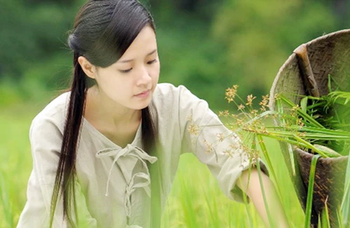 Phim “thảm họa” đua nhau tranh giải vàng