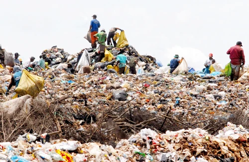 Nhiều sản phẩm thải loại buộc phải thu gom