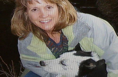 Bi kịch gia đình