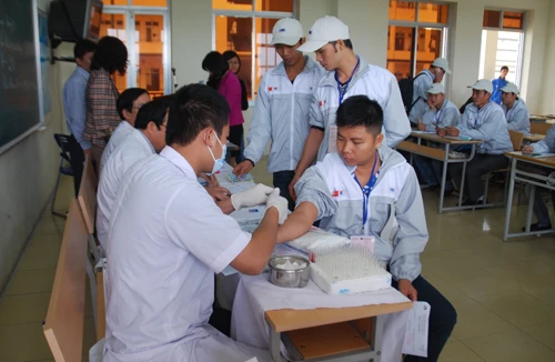 Ký quỹ 100 triệu đồng, 35 lao động sang Hàn Quốc làm việc