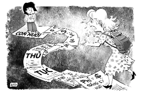 Quy định chưa rõ, làm khó người trong cuộc