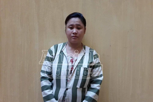 Bắt khẩn cấp “má mì” môi giới gái gọi qua mạng