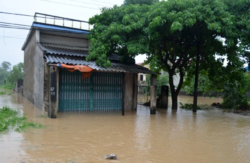 Phó giám đốc Sở Công Thương Nghệ An bị lũ cuốn trôi