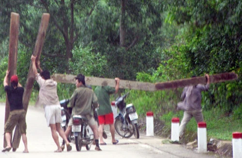 Lâm tặc bị gỗ lậu đè chết