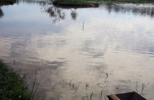 Rủ nhau đi bắt cua đồng 2 học sinh chết đuối thương tâm