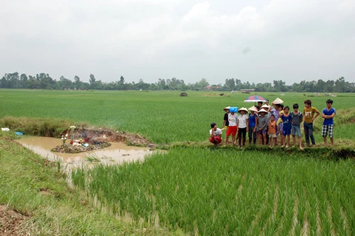 Bị sét đánh khi đang đi gặt lúa, 2 người tử vong