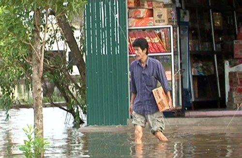 Bão số 10 gây thiệt hại hàng chục nghìn tỷ đồng cho Quảng Bình, Quảng Trị