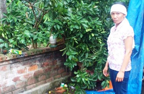 “Nghi án bố chồng nàng dâu”, con trai đẩy khiến cha ngã tử vong