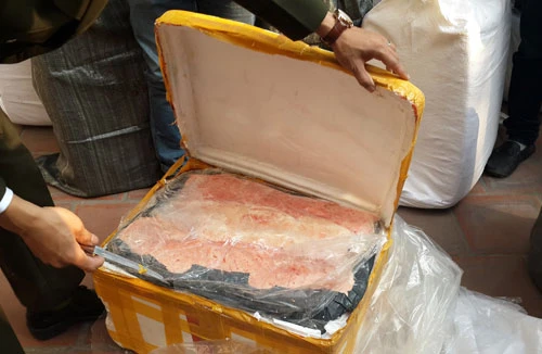 Phát hiện 1 tấn nầm lợn trôi nổi về Hà Nội