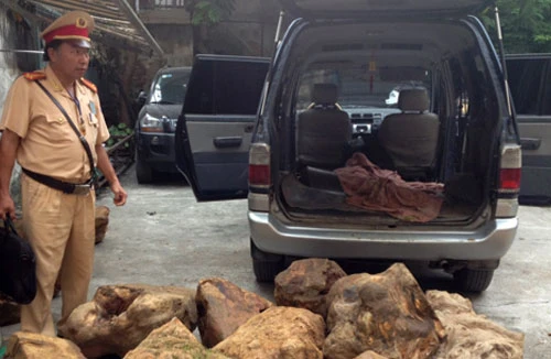 Kiểm tra xe vi phạm, phát hiện cả tấn gỗ pơ mu