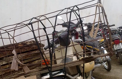 Đóng giả người đi buôn dê để bắt trộm dê