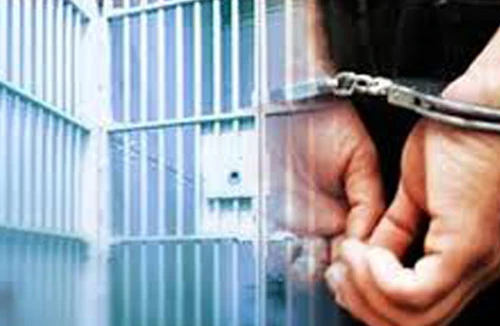 Cô nuôi dạy trẻ là đối tượng truy nã