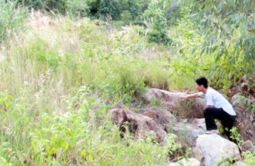 Phát hiện thi thể thiếu nữ đang phân huỷ trong rẫy ngô 