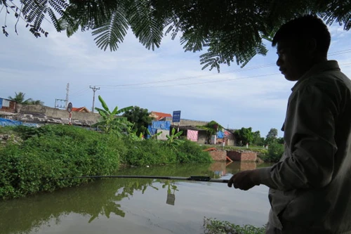 Bị điện giật cháy người vì dây câu làm bằng carbon