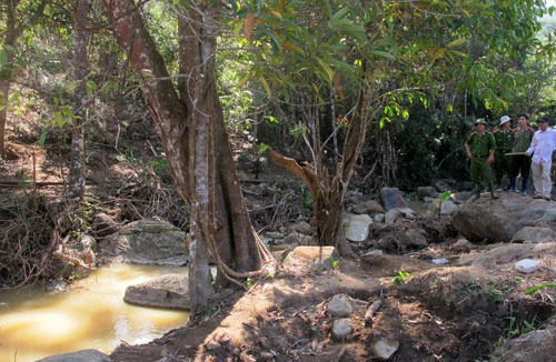 Rừng Cư K’lông tan hoang vì… thạch anh và saphia!