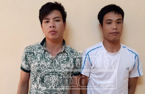 Thấy 2 trâu ngoài bờ đê "vắng chủ", hai nam thanh niên gọi xe tải đến bắt trộm