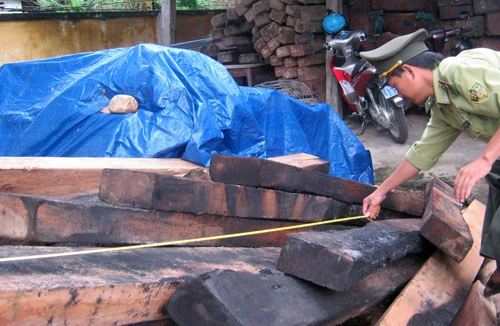 Lâm tặc ngang nhiên đốt gỗ tang vật