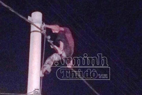 Ngáo đá, nam thanh niên leo cột điện la hét