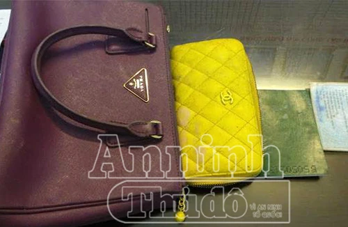 Hai tên cướp giật tài sản hàng loạt sa lưới