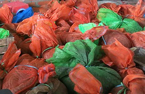 Đột kích cơ sở buôn bán trái phép động vật hoang dã