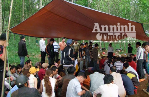 Thuê 20 "vệ sĩ" cảnh giới sới bạc trong rừng