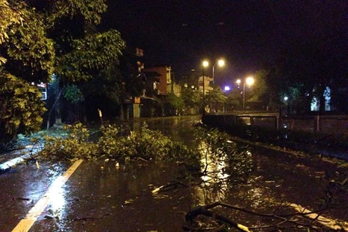 Bão số 3 gây thiệt hại 20 tỷ đồng ở Quảng Ninh