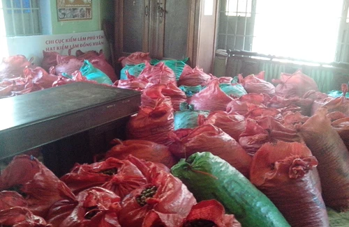 Bắt vụ vận chuyển trái phép quả ươi số lượng “khủng”