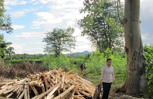 Thu hồi đất hương hỏa của dân để…phân lô, bán nền (!)
