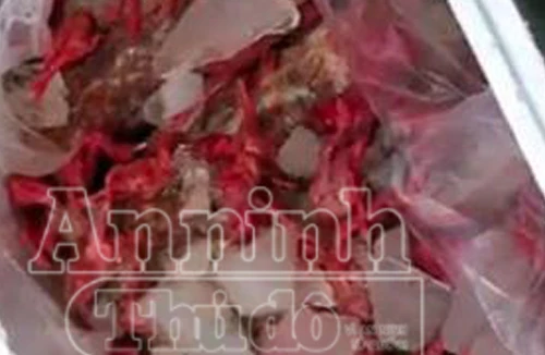 Phát hiện xe khách chở gà đông lạnh Trung Quốc bốc mùi thối