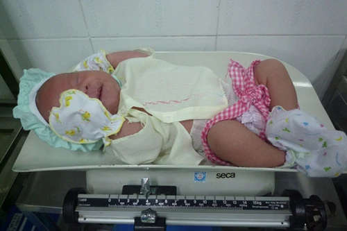 Bé trai 10 ngày tuổi bị bỏ rơi dưới gốc cây