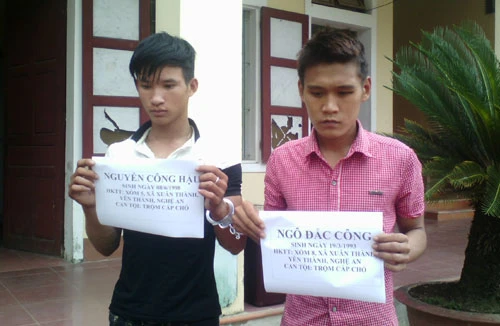 Bị truy đuổi, 2 cầu tặc dùng kiếm chống trả