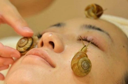 Gần 5 triệu đồng cho 1 lần dưỡng da mặt bằng... nhớt ốc sên