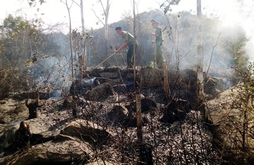 Rừng cháy tràn lan