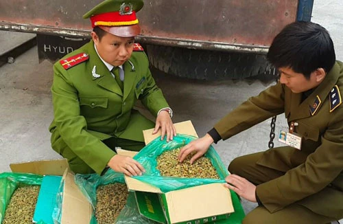 Phát hiện hơn 2 tấn nho sấy khô "bẩn"