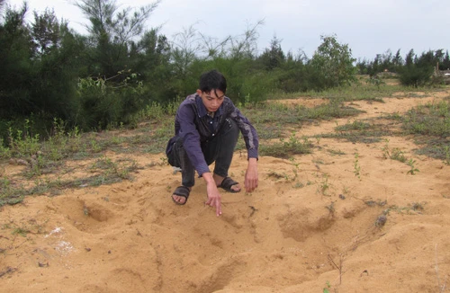 Nghi lấy trộm tiền, một số thanh niên bắt người đem chôn sống