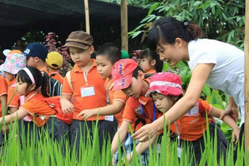 Khan hiếm lòng trung thực