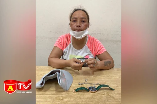 Bị bắt quả tang khi mang ma tuý giao cho khách