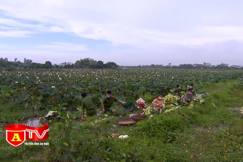 Lan tỏa hành động đẹp của người chiến sỹ CAND