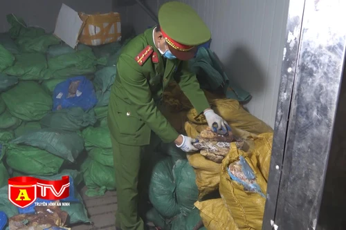 Phát hiện 10 tấn thực phẩm gia cầm, động vật không rõ nguồn gốc
