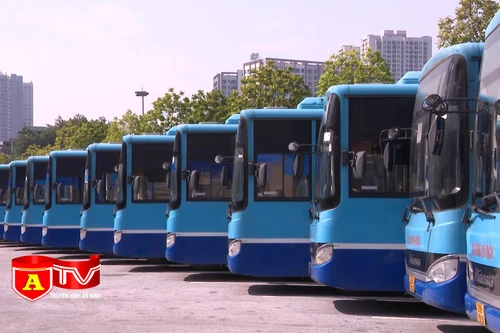 Kiến nghị khẩn thiết cho xe buýt hoạt động trở lại 