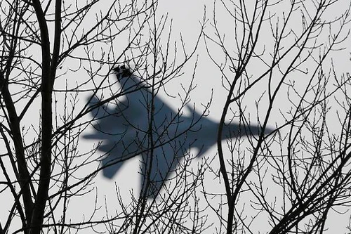 Cựu quan chức Mỹ: Nga không có kế hoạch tấn công bất kỳ quốc gia NATO nào