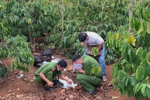 [Tin nhanh tối 3-11-2020] Sát hại người tình sau khi ân ái rồi bỏ đi chơi game