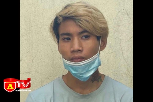 Giả vờ mua điện thoại để cướp giật rồi bỏ chạy