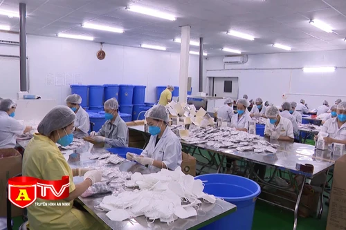 Doanh nghiệp phục hồi phát triển kinh tế trong tình hình mới