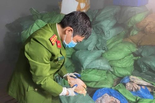 Phát hiện gần chục tấn sụn gà, nội tạng động vật không rõ nguồn gốc