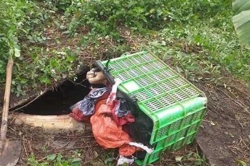 Bắt kẻ sát hại, phi tang chủ nợ dưới hố biogas 