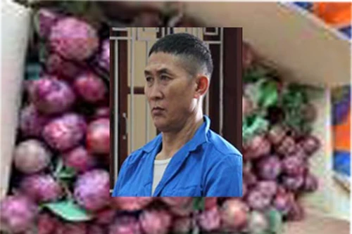 Tử hình đối tượng giấu 4 bánh heroin vào thùng mận