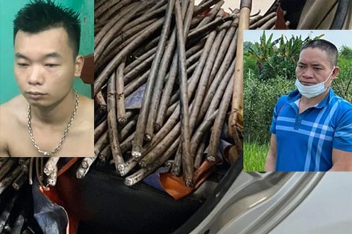 Ban đêm, hai đối tượng lái xe du lịch đi cắt trộm cáp điện ngầm